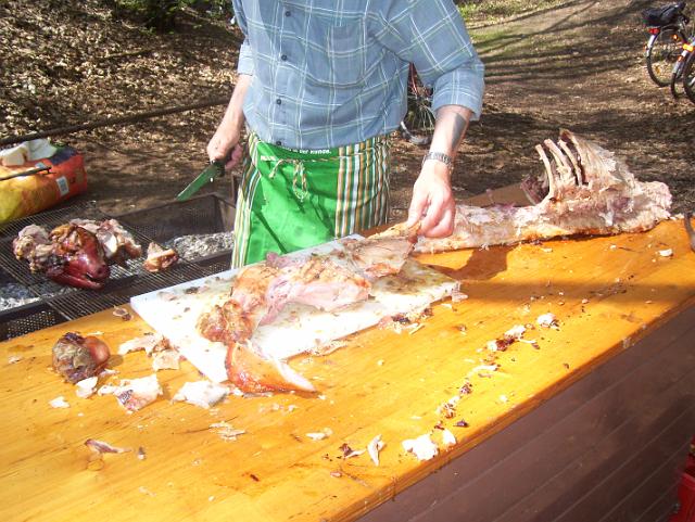 Steinkuhle 2008 (35).JPG